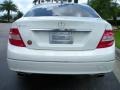 2008 Arctic White Mercedes-Benz C 300 Luxury  photo #7