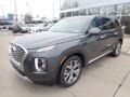 Steel Graphite - Palisade SEL AWD Photo No. 5