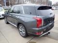 2021 Steel Graphite Hyundai Palisade SEL AWD  photo #6