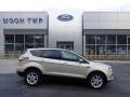 White Gold 2018 Ford Escape SEL 4WD
