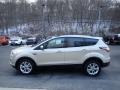 White Gold - Escape SEL 4WD Photo No. 6