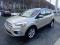 White Gold - Escape SEL 4WD Photo No. 7