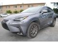  2018 NX 300 Nebula Gray Pearl
