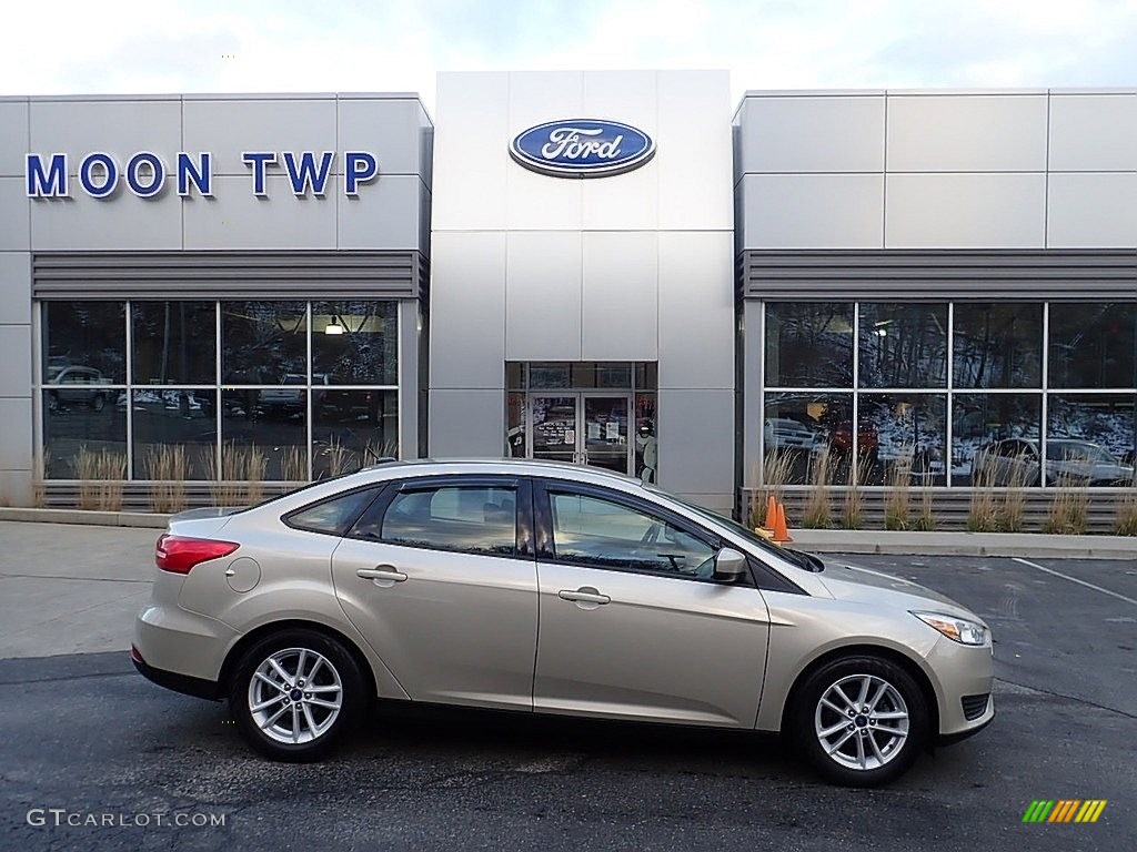 White Gold Ford Focus