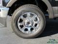 Agate Black - F250 Super Duty King Ranch Crew Cab 4x4 Photo No. 9
