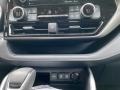 Magnetic Gray Metallic - Highlander XLE AWD Photo No. 22