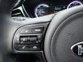 2020 Kia Niro Charcoal Interior Steering Wheel Photo