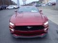 2019 Ruby Red Ford Mustang GT Premium Fastback  photo #7