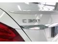 Polar White - C 300 Sedan Photo No. 31