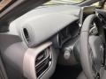 Magnetic Gray Metallic - C-HR Nightshade Photo No. 19