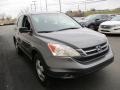 2010 Urban Titanium Metallic Honda CR-V LX AWD  photo #7