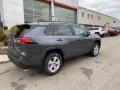 Magnetic Gray Metallic - RAV4 XLE AWD Hybrid Photo No. 14