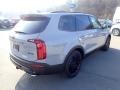 2021 Wolf Gray Kia Telluride SX AWD  photo #2
