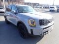 2021 Wolf Gray Kia Telluride SX AWD  photo #3