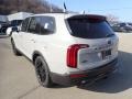 2021 Wolf Gray Kia Telluride SX AWD  photo #7