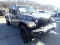 Sting-Gray - Gladiator Willys 4x4 Photo No. 3