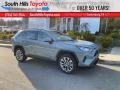 Lunar Rock - RAV4 XLE Premium AWD Photo No. 1