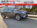 2021 Magnetic Gray Metallic Toyota RAV4 XLE Premium AWD  photo #1
