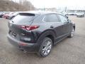 Jet Black Mica - CX-30 Preferred AWD Photo No. 2