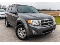 Sterling Gray Metallic 2012 Ford Escape Limited