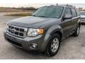 2012 Sterling Gray Metallic Ford Escape Limited  photo #8