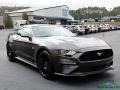 Magnetic - Mustang GT Premium Fastback Photo No. 7