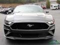 Magnetic - Mustang GT Premium Fastback Photo No. 8