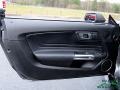 Magnetic - Mustang GT Premium Fastback Photo No. 10