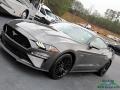 Magnetic - Mustang GT Premium Fastback Photo No. 18