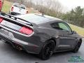 Magnetic - Mustang GT Premium Fastback Photo No. 20