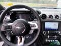 Magnetic - Mustang GT Premium Fastback Photo No. 24
