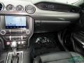 Magnetic - Mustang GT Premium Fastback Photo No. 25