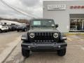 Sarge Green - Wrangler Sport 4x4 Photo No. 7