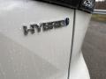 Blizzard White Pearl - Highlander Hybrid Platinum AWD Photo No. 28