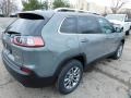 Sting-Gray - Cherokee Latitude Lux 4x4 Photo No. 5