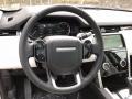 Light Oyster/Ebony 2020 Land Rover Discovery Sport S Steering Wheel