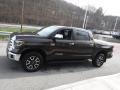 2020 Smoked Mesquite Toyota Tundra Limited CrewMax 4x4  photo #14