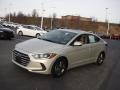Mineral Beige - Elantra Value Edition Photo No. 6