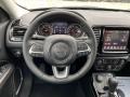 Black Steering Wheel Photo for 2021 Jeep Compass #140532966