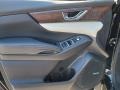 Slate Black Door Panel Photo for 2021 Subaru Ascent #140533696
