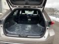 Titanium Glow - Venza Hybrid Limited AWD Photo No. 31