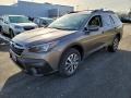 Brilliant Bronze Metallic - Outback 2.5i Premium Photo No. 13