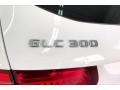 Polar White - GLC 300 Photo No. 31