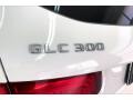 Polar White - GLC 300 Photo No. 31