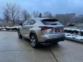 2021 Atomic Silver Lexus NX 300 AWD  photo #4