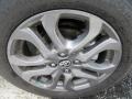 Frost - Yaris XLE Photo No. 7