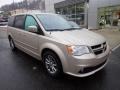 2013 Sandstone Dodge Grand Caravan R/T  photo #8