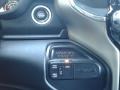 Diesel Gray/Black Controls Photo for 2021 Ram 4500 #140579139