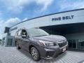 Magnetite Gray Metallic - Forester 2.5i Premium Photo No. 1