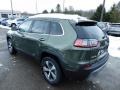 Olive Green Pearl - Cherokee Limited 4x4 Photo No. 8